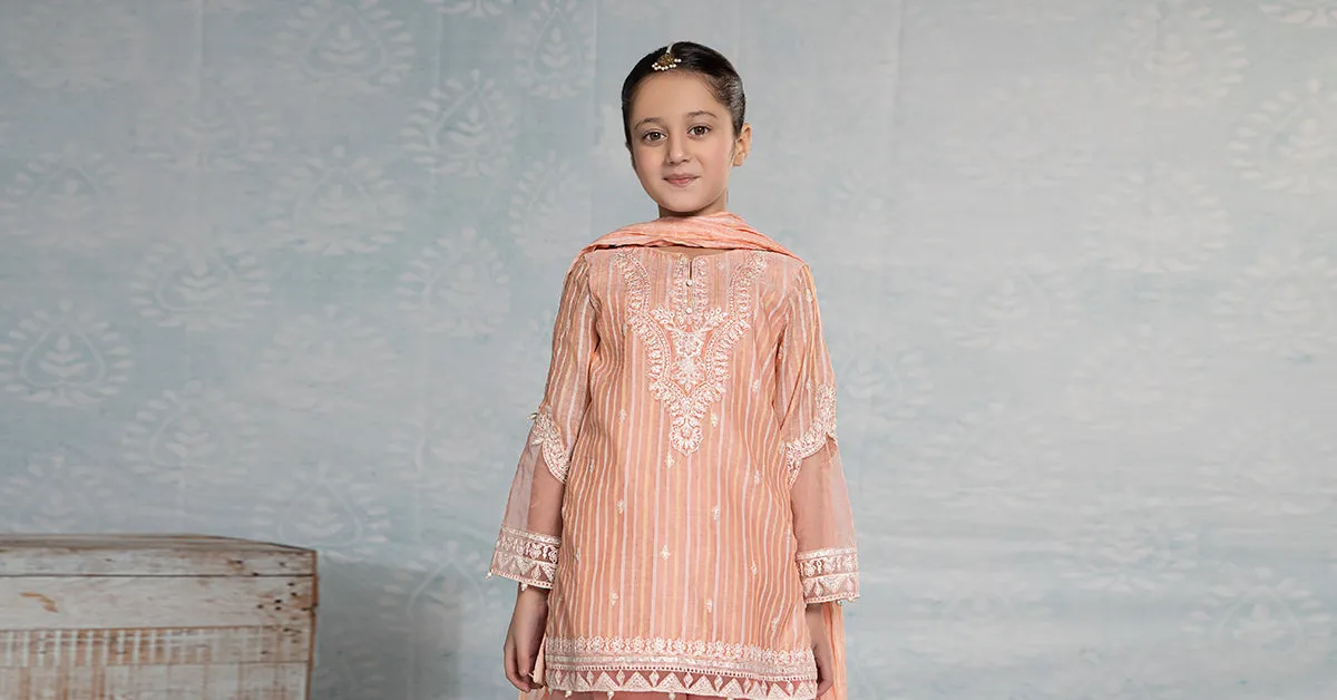 3 Piece Embroidered Stripecotton Suit | MKD-EF24-27