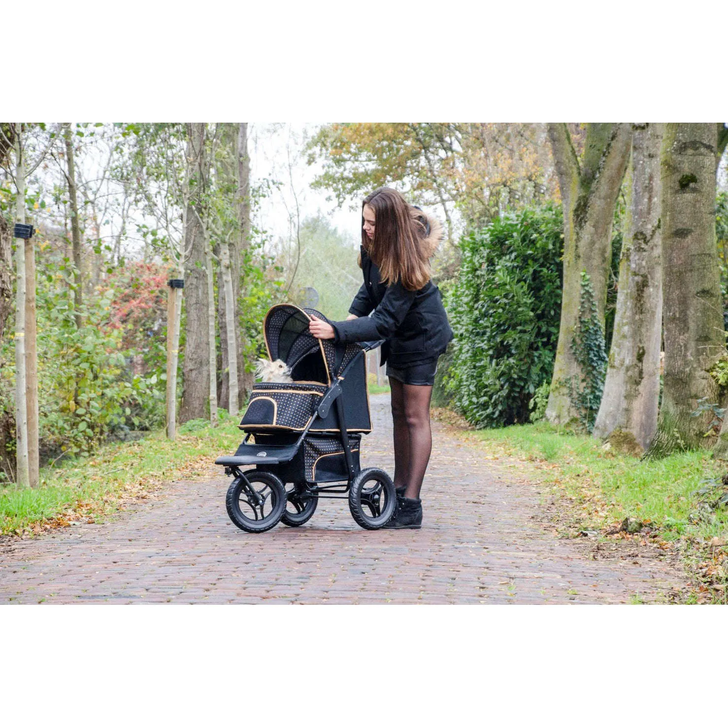 InnoPet Adventure Dog Pram