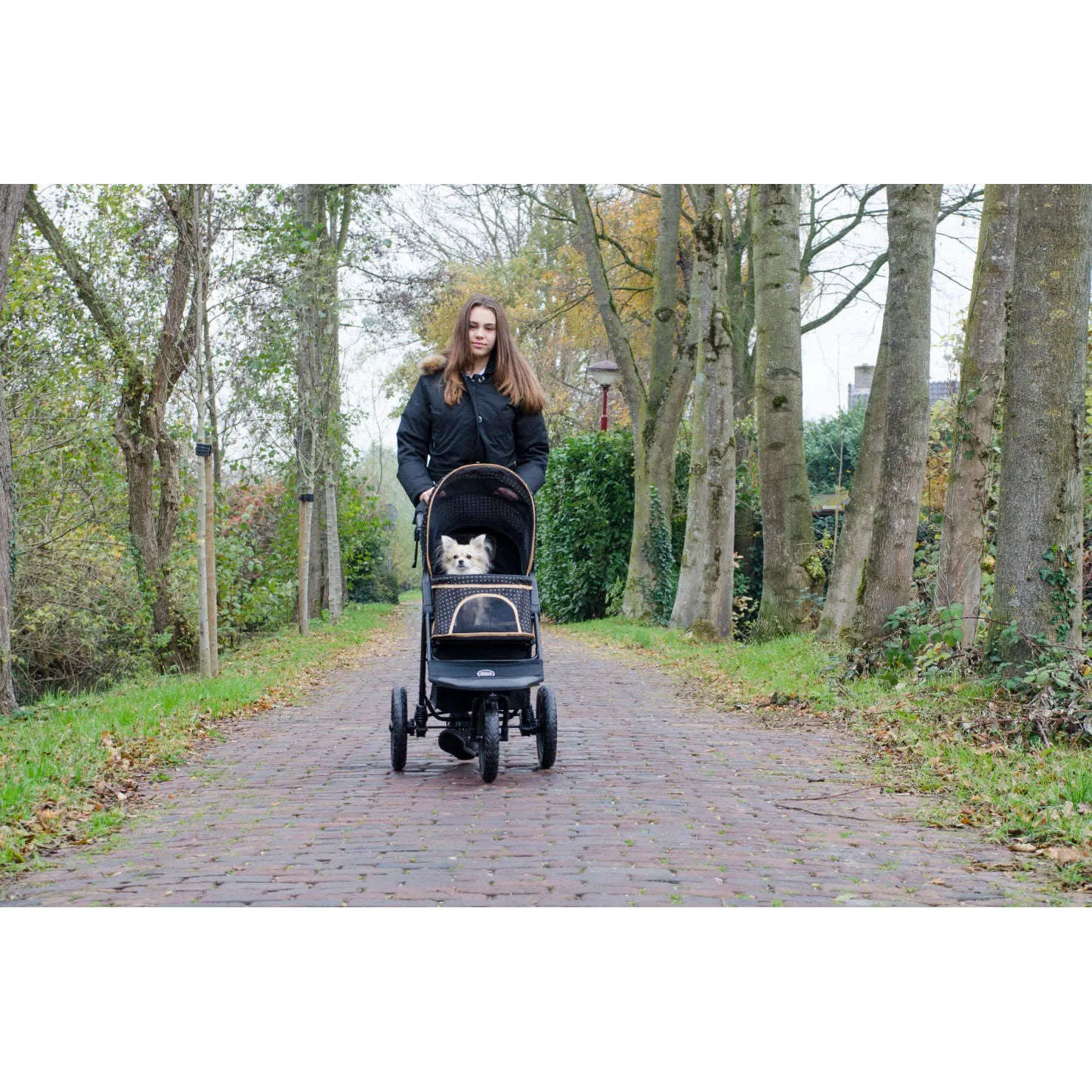 InnoPet Adventure Dog Pram