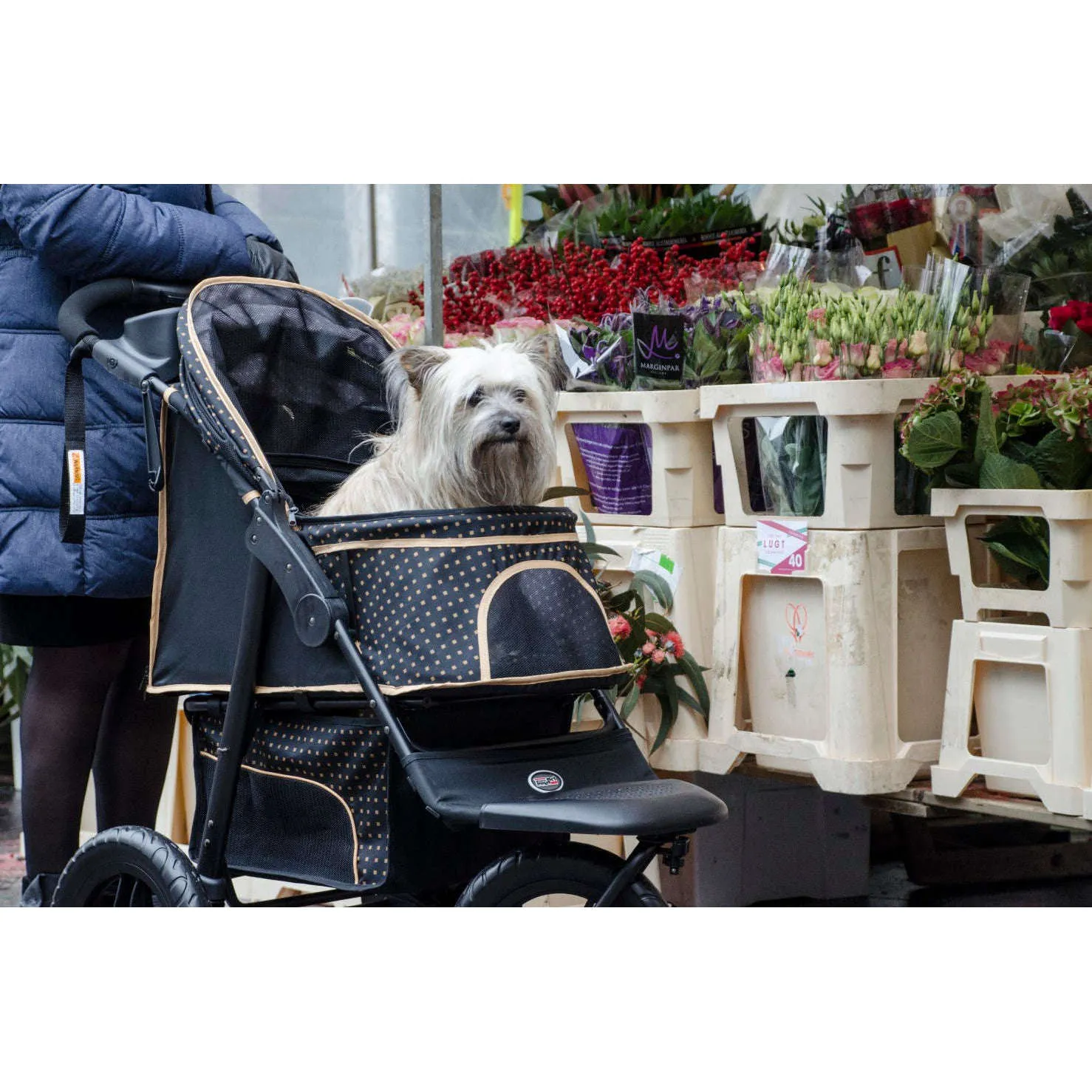 InnoPet Adventure Dog Pram