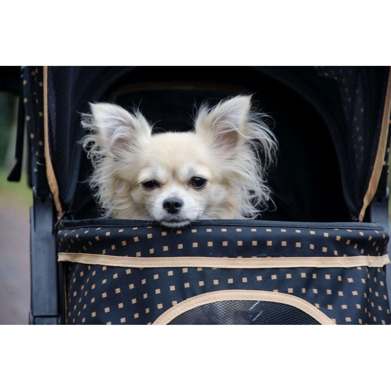 InnoPet Adventure Dog Pram