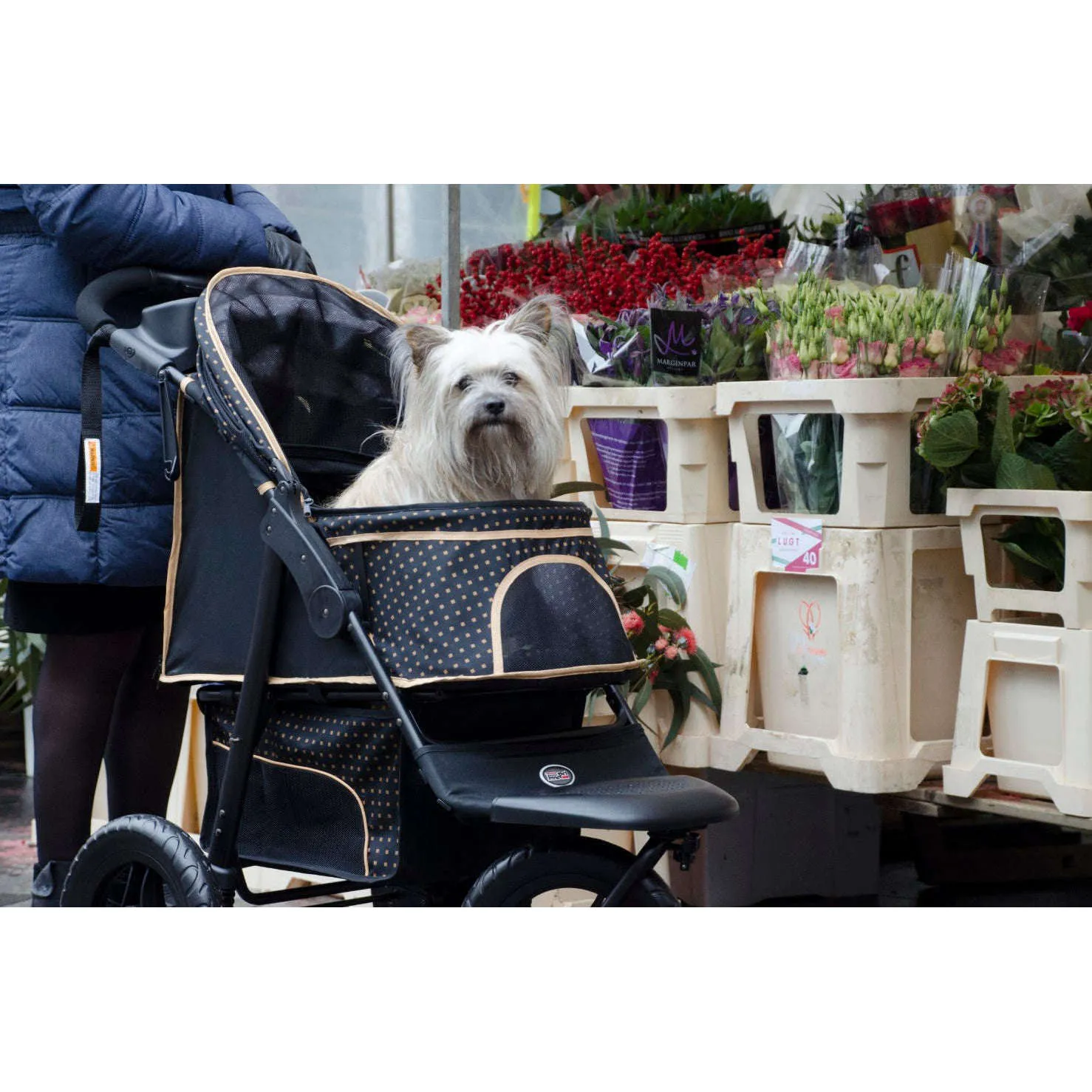 InnoPet Adventure Dog Pram