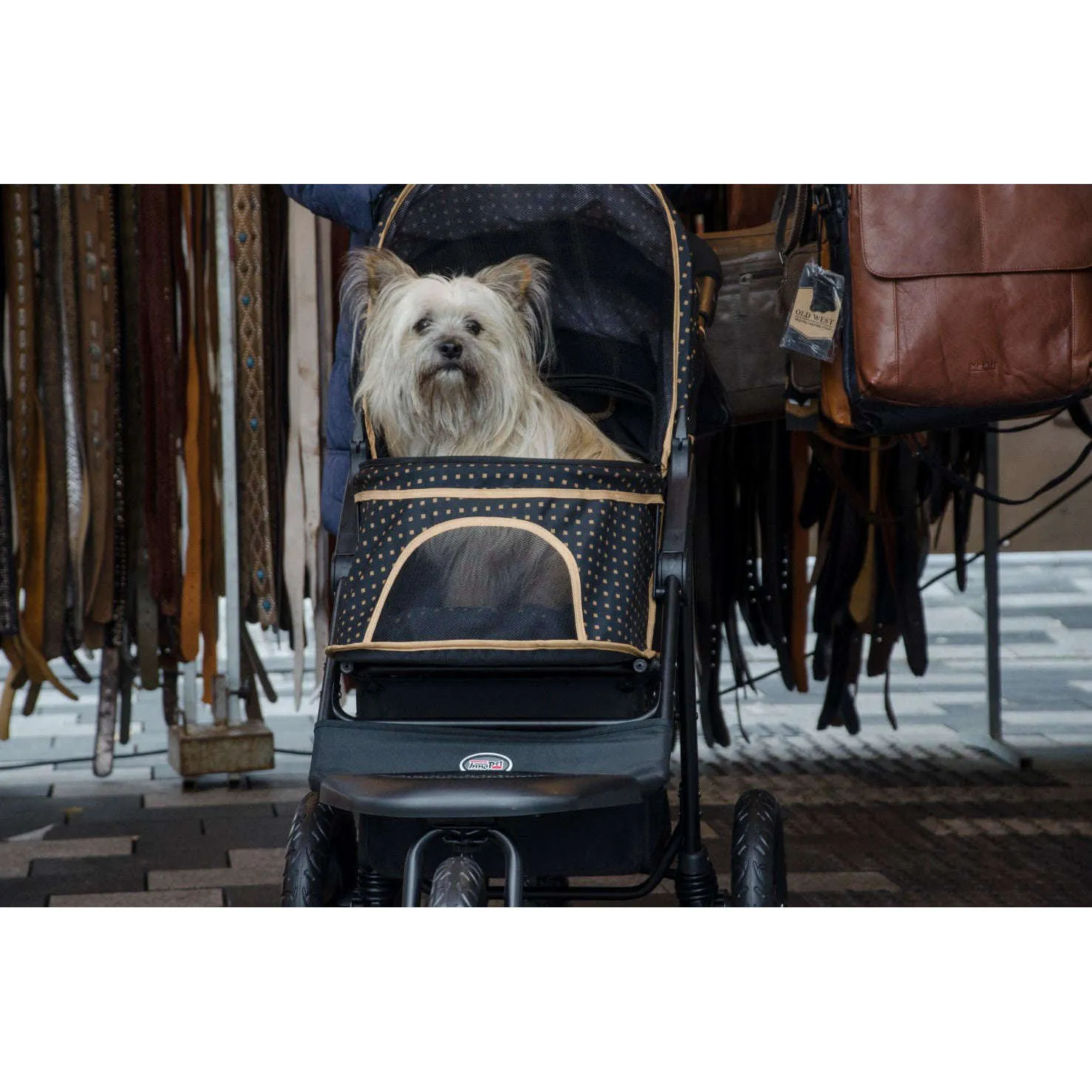 InnoPet Adventure Dog Pram